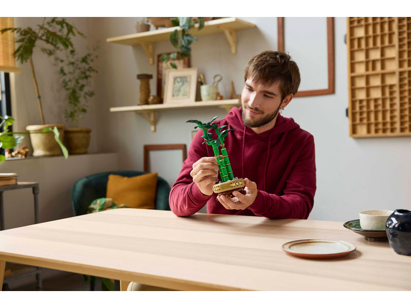 LEGO Botanicals - Bambus štěstí