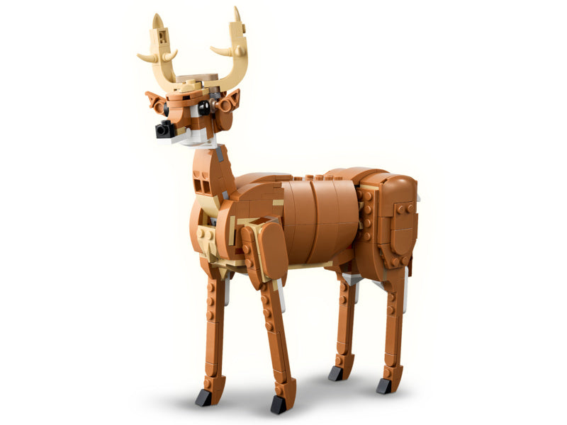 LEGO Creator - Krásný kůň