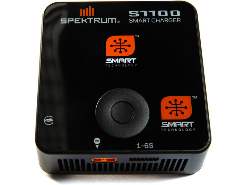 Spektrum nabíječ Smart S1100 1x100W AC